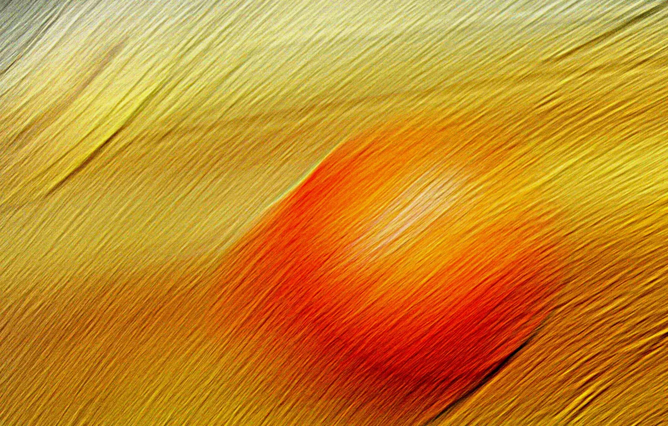 Photo wallpaper rays, line, balls, the ball, touch