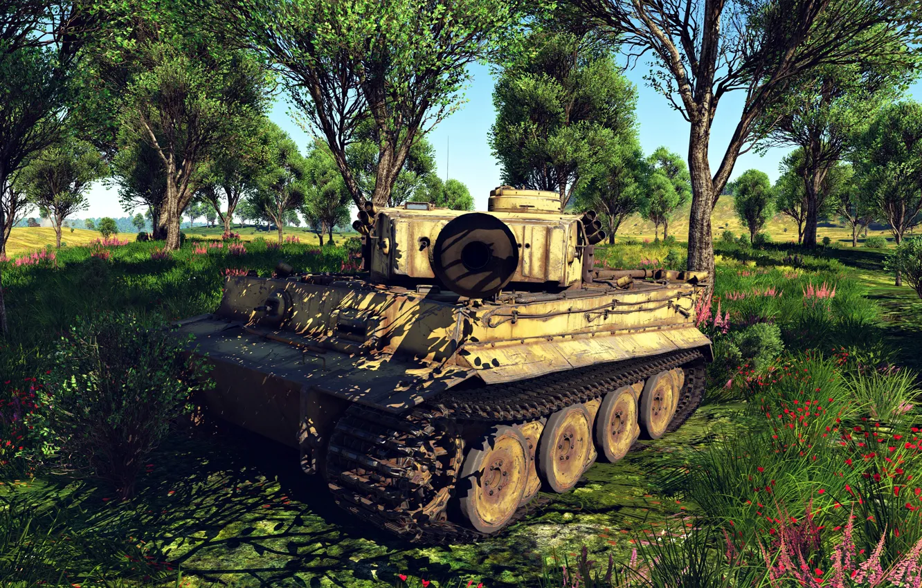 Photo wallpaper the sky, grass, tiger, war, the game, tank, war, tiger