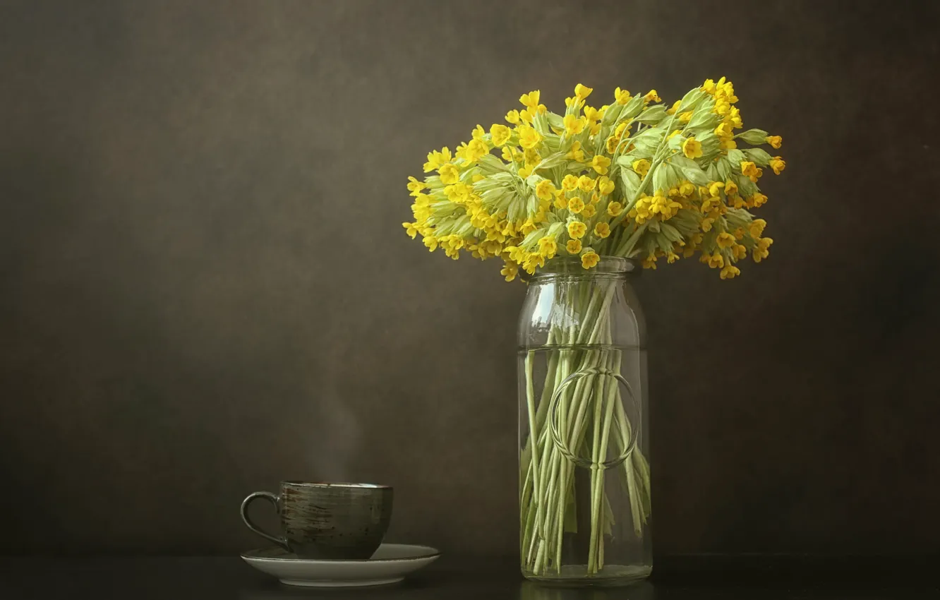 Photo wallpaper flowers, yellow, Cup, Bank, drink, still life, primrose, Primula