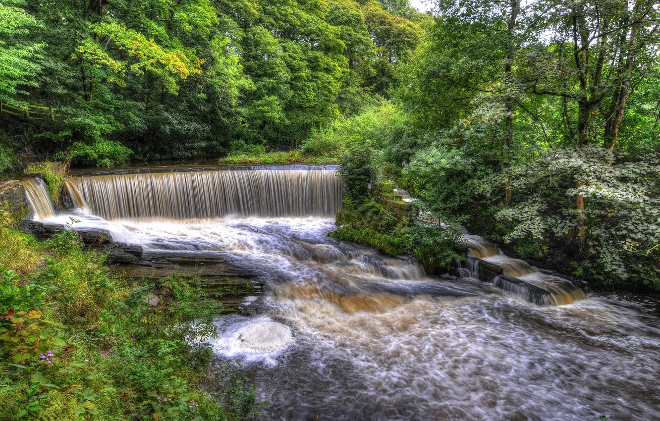 Photo wallpaper trees, Park, stream, England, waterfall, HDR, Yarrow valley park