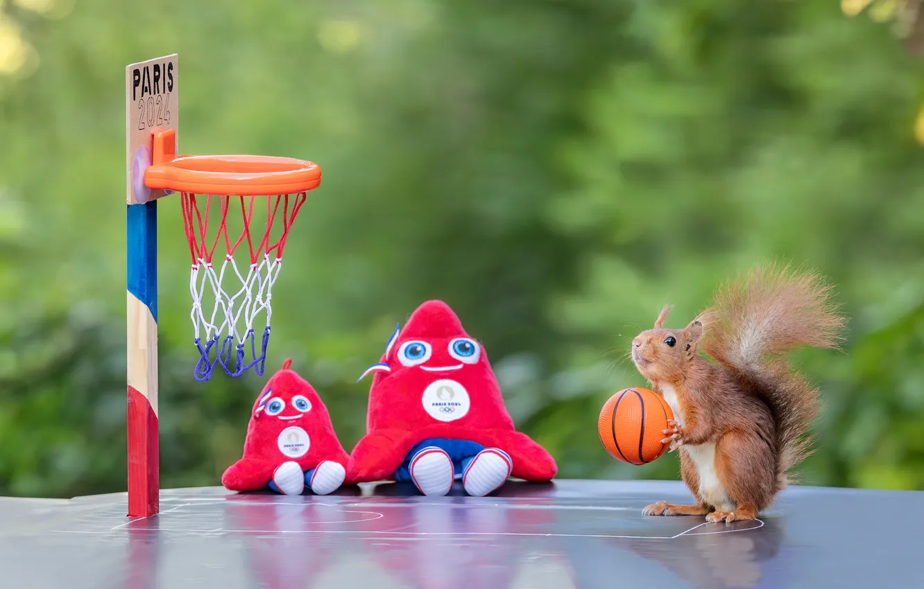 Photo wallpaper basket, posts, sport, toy, Paris, the ball, protein, Olympics