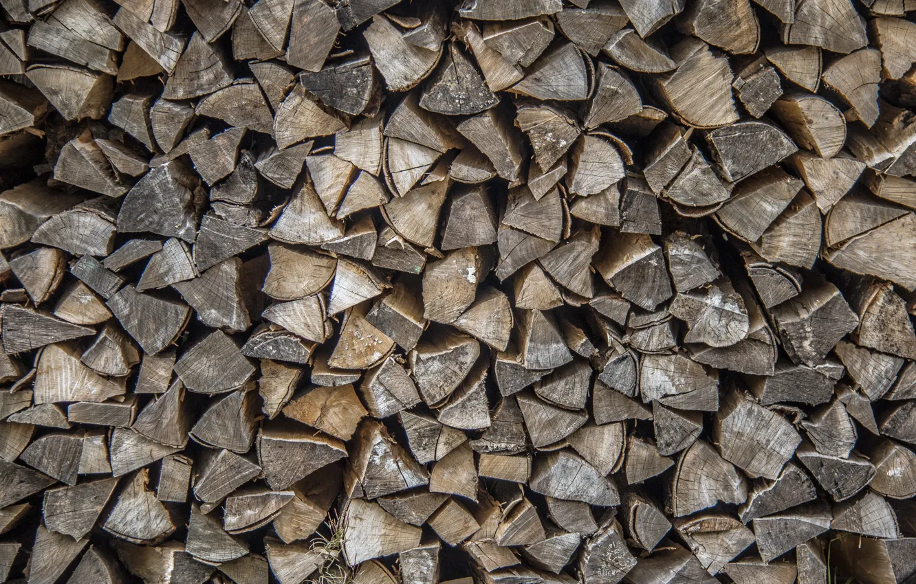 Photo wallpaper background, texture, wood