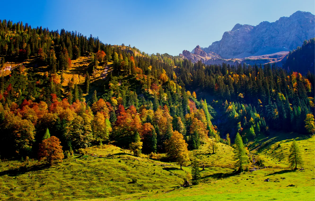 Photo wallpaper autumn, the sky, trees, mountains, nature, hills, Austria, Karwendel
