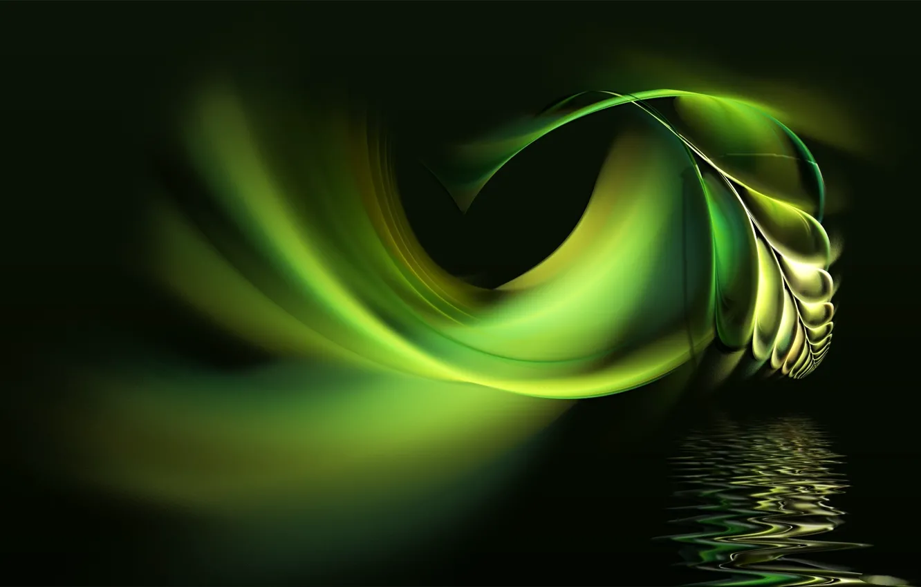 Photo wallpaper water, abstraction, green, background, Wallpaper, black, feathers