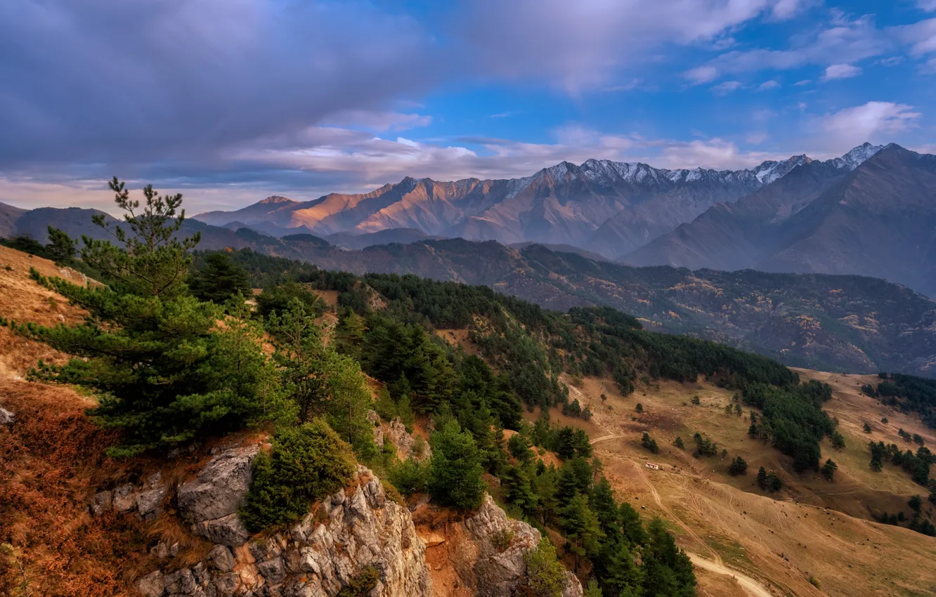 Photo wallpaper landscape, mountains, nature, vegetation, reserve, Ingushetia, Erza, Yulia Shumlyaeva