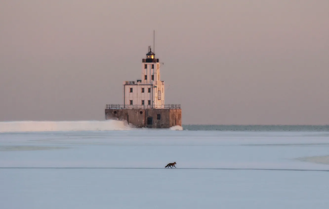Photo wallpaper Frozen, fox, sea, lighthouse