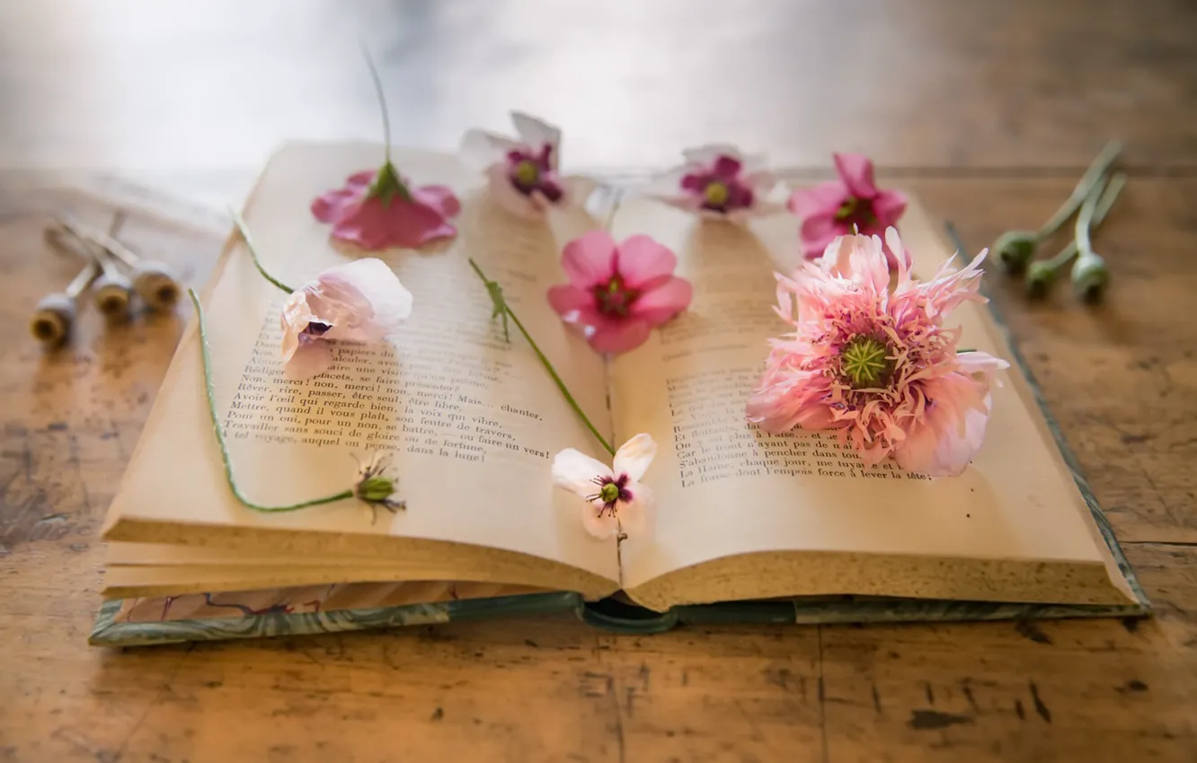 Photo wallpaper flowers, background, Maki, book