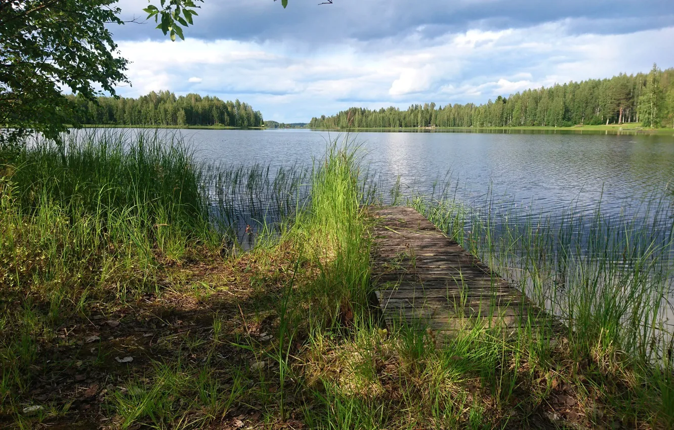 Photo wallpaper summer, lake, Finland, Lapinlahti