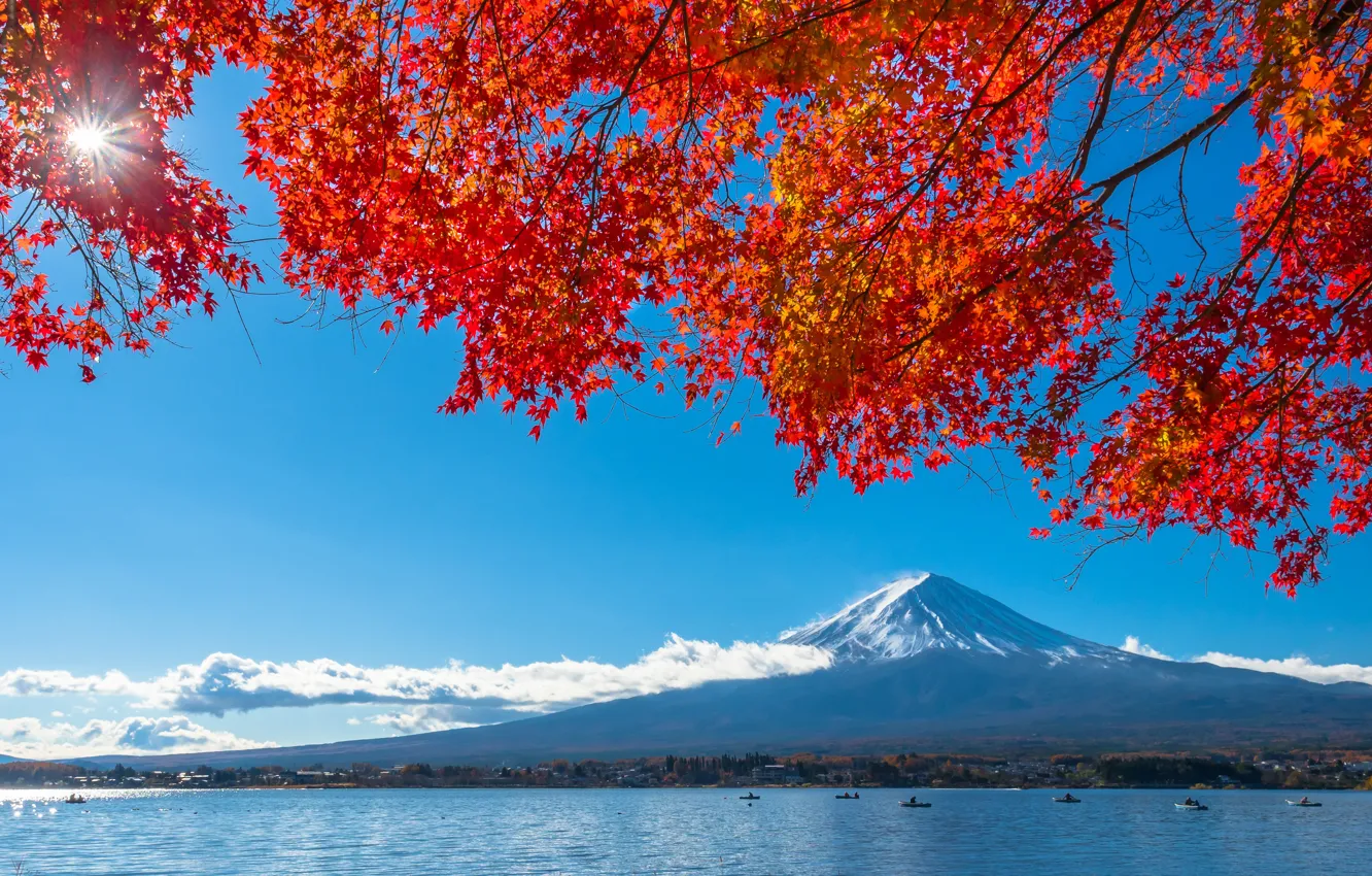 Photo wallpaper autumn, the sky, leaves, colorful, Japan, Japan, red, maple