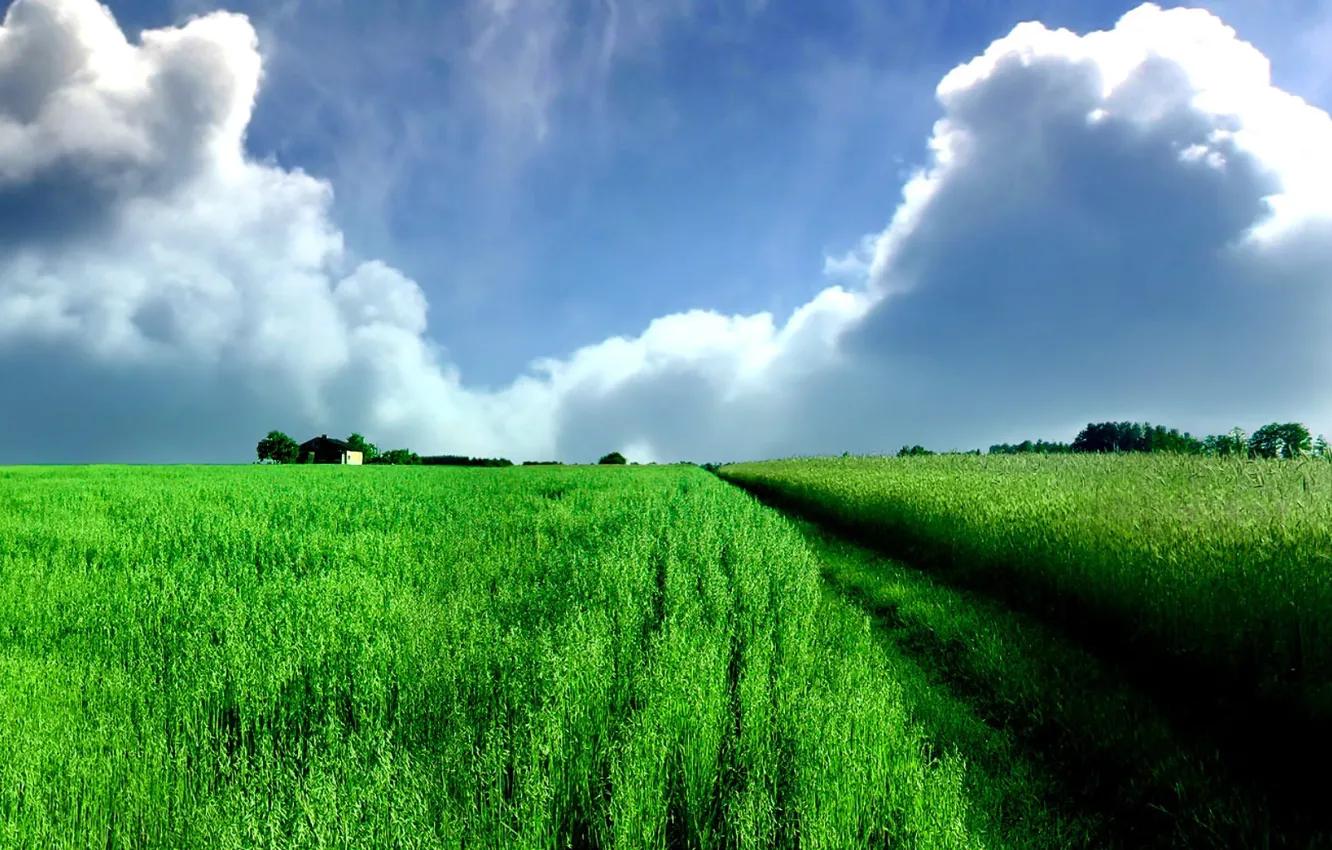 Photo wallpaper field, clouds, green, panorama