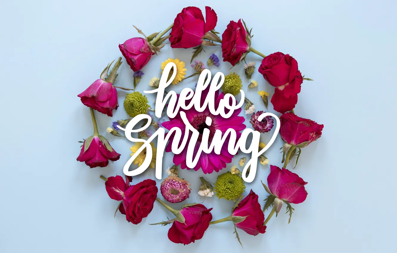 Photo wallpaper flowers, roses, spring, colorful, pink, flowers, floral, spring