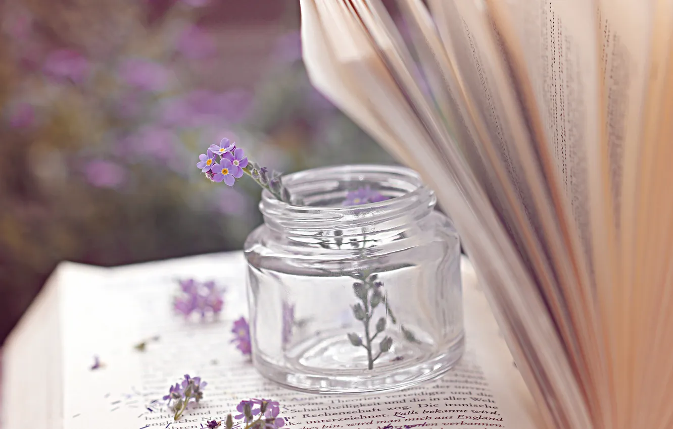 Photo wallpaper flowers, jars, line, page