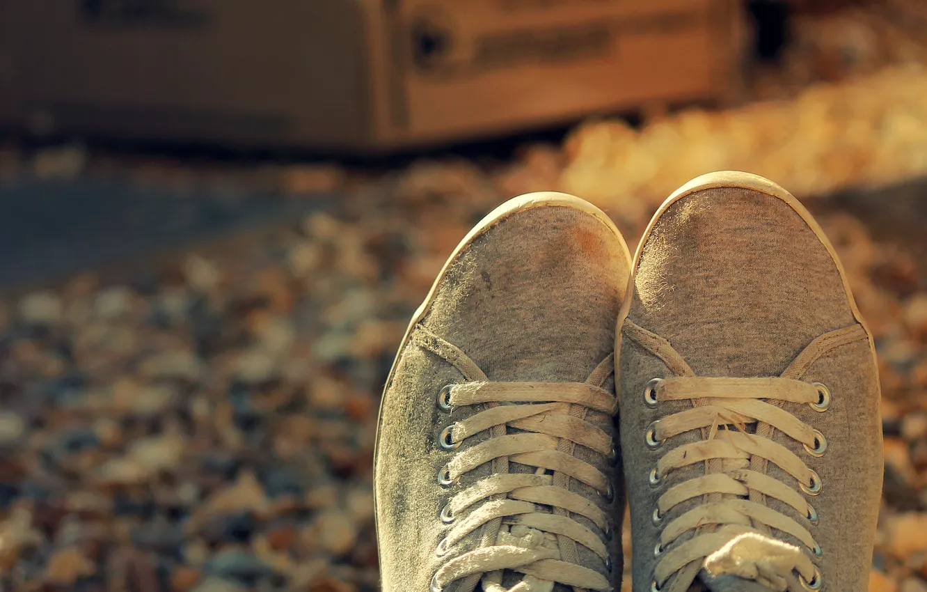 Photo wallpaper autumn, shoes, sneakers