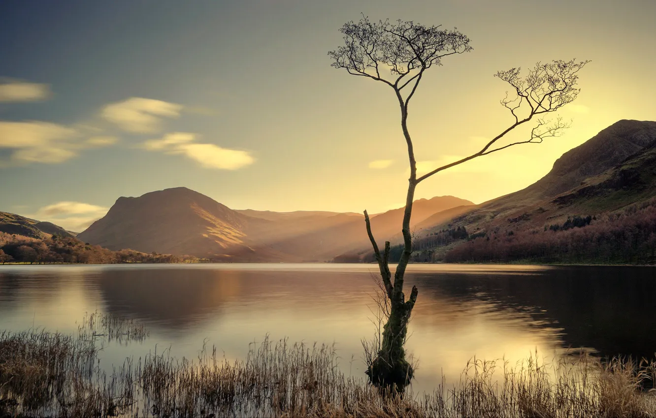 Photo wallpaper England, Batterer, mountains, Cumbria, lake, trees