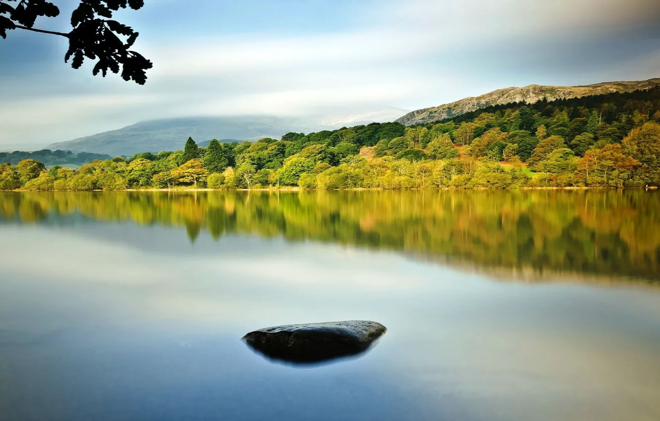 Photo wallpaper forest, mountains, nature, river