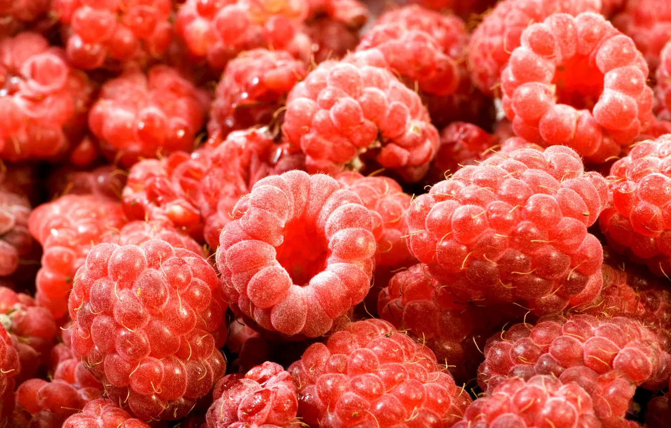 Photo wallpaper macro, red, berries, raspberry, food, a lot, juicy, delicious
