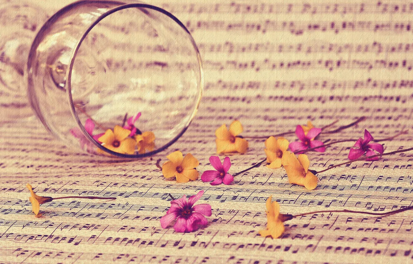 Photo wallpaper flowers, style, notes, mood, glass, texture