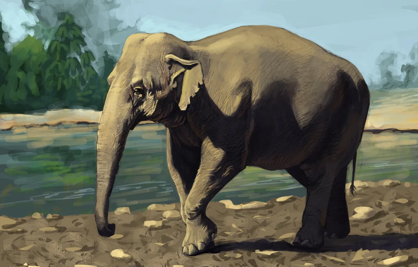 Photo wallpaper greens, river, animal, elephant, Sunny, Indian elephant