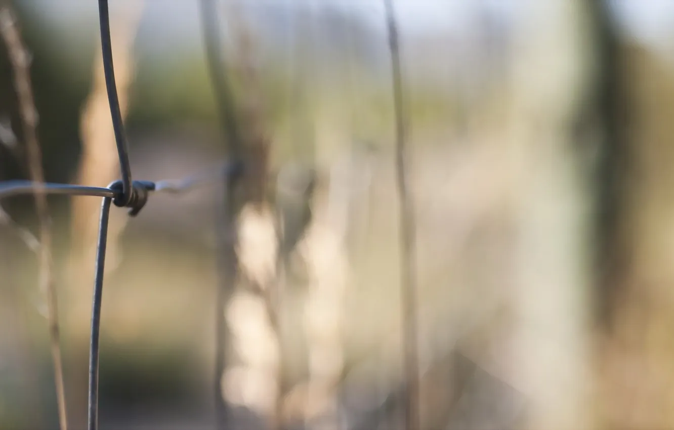 Photo wallpaper macro, background, the fence