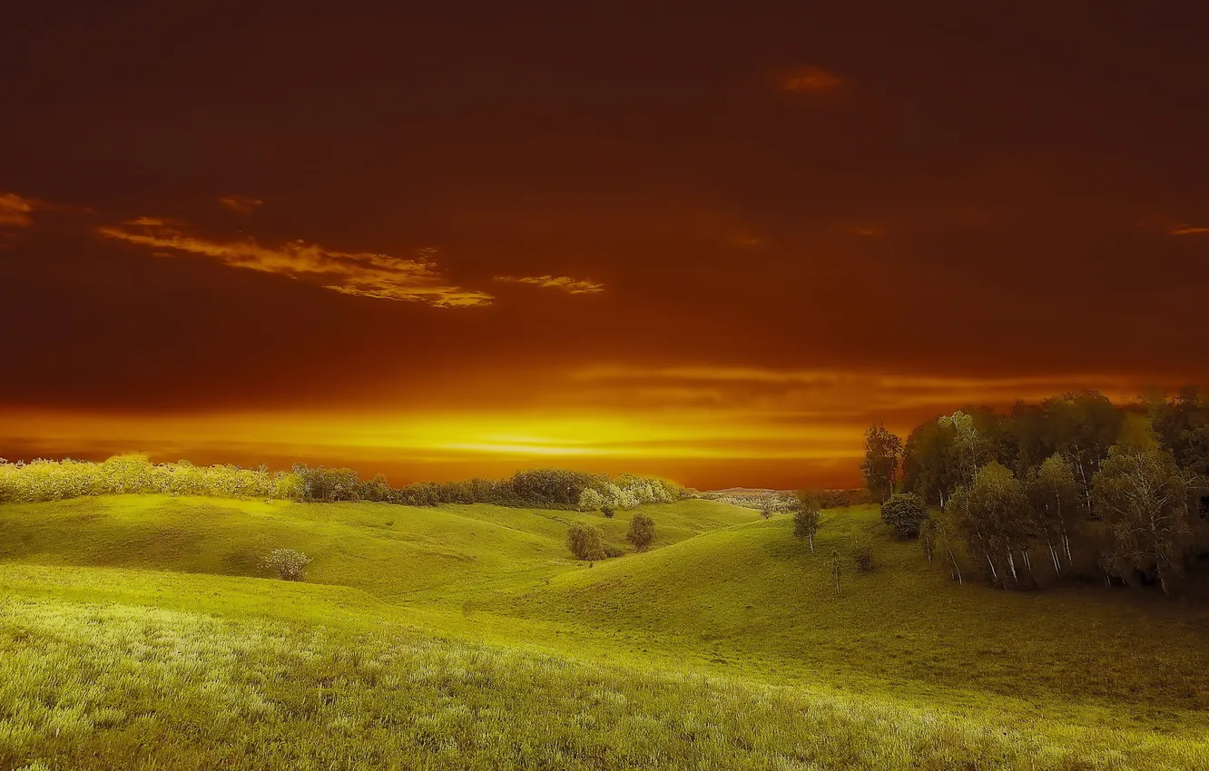 Photo wallpaper field, landscape, sunset