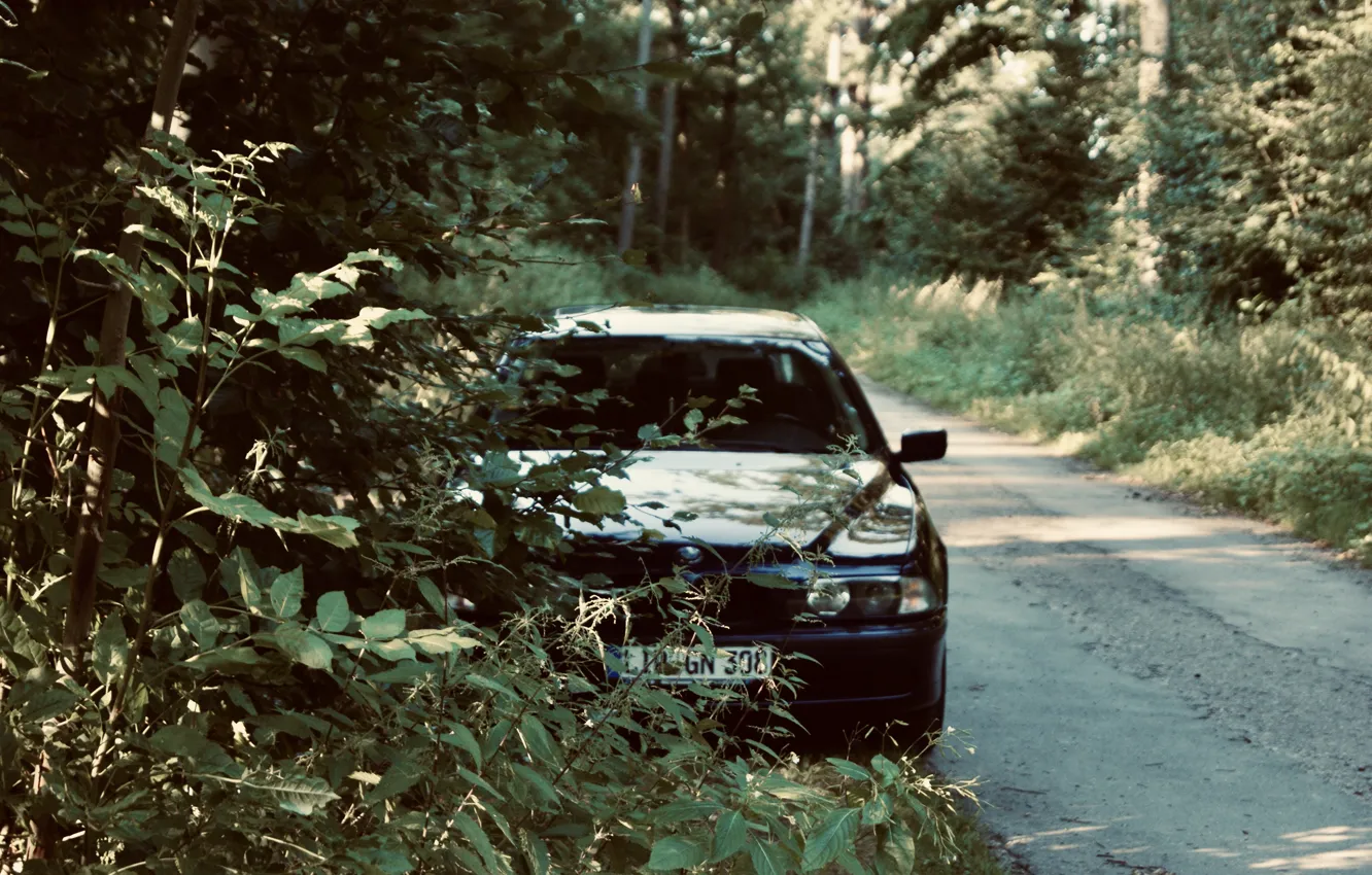 Photo wallpaper BMW, Wood, e39, Trees, 5