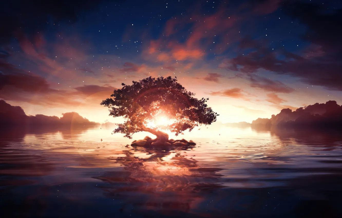 Photo wallpaper landscape, sunset, tree