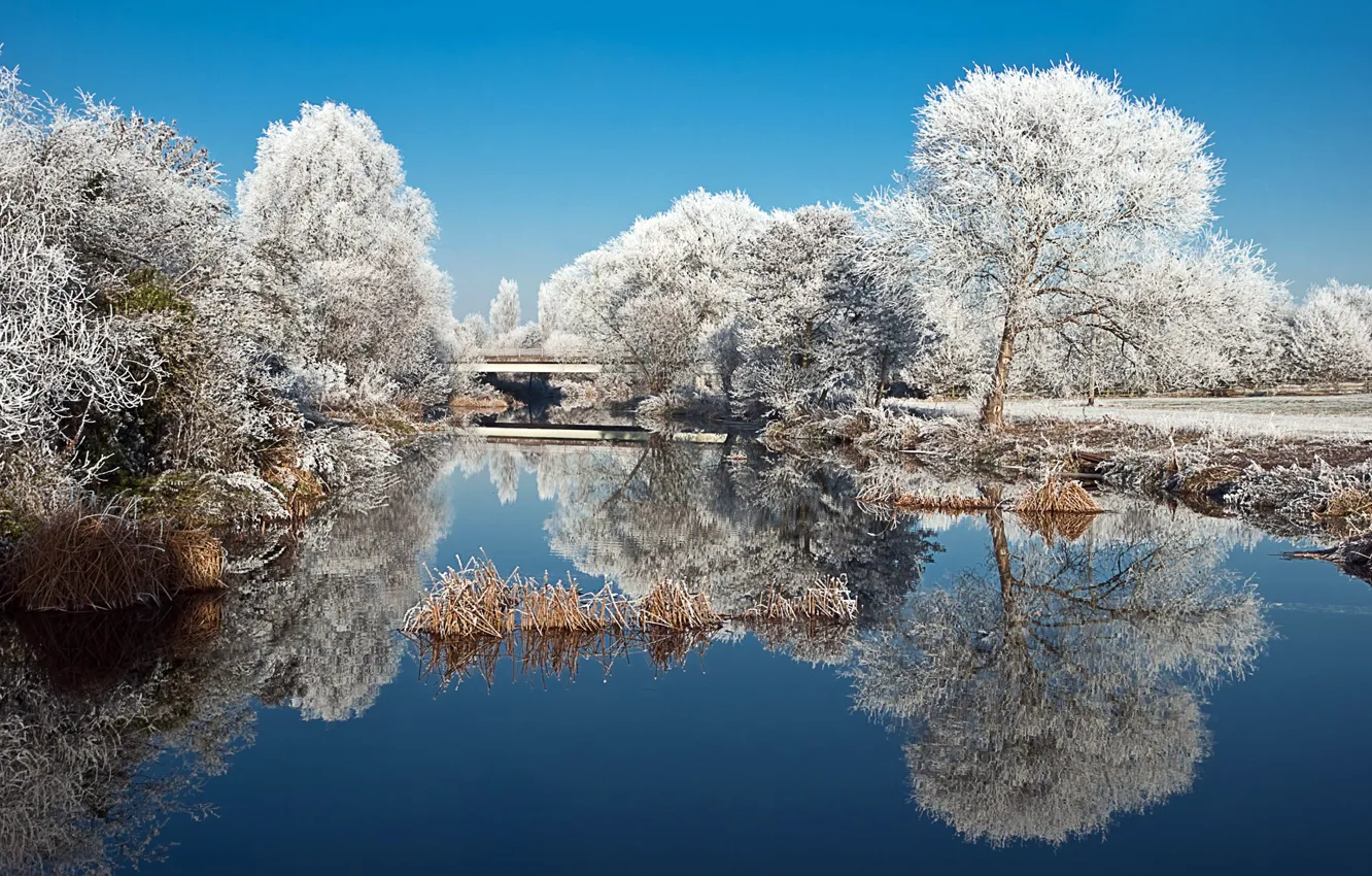 Photo wallpaper winter, frost, trees, nature, lake, pond, Park, reflection