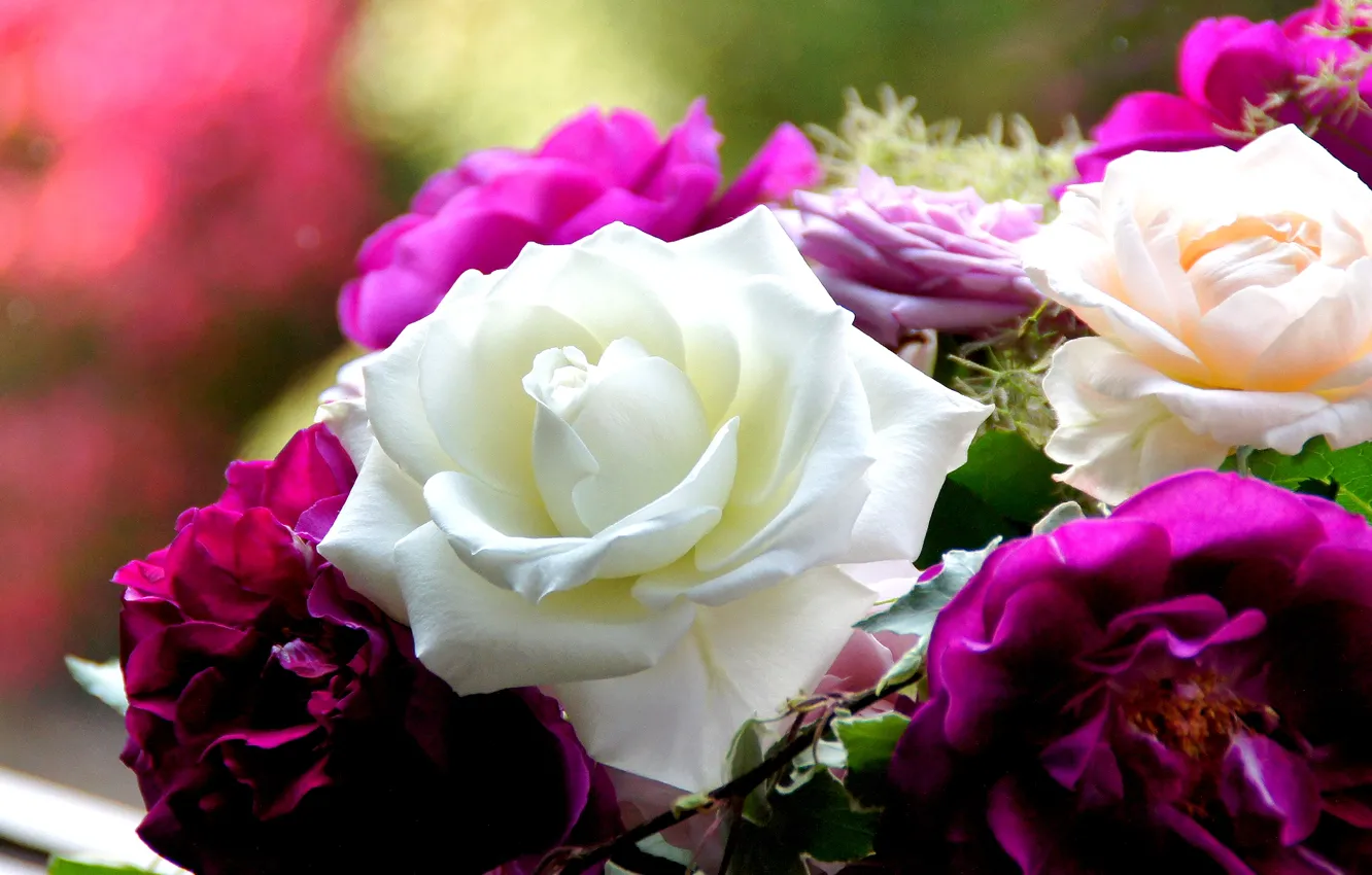 Photo wallpaper roses, bouquet, petals