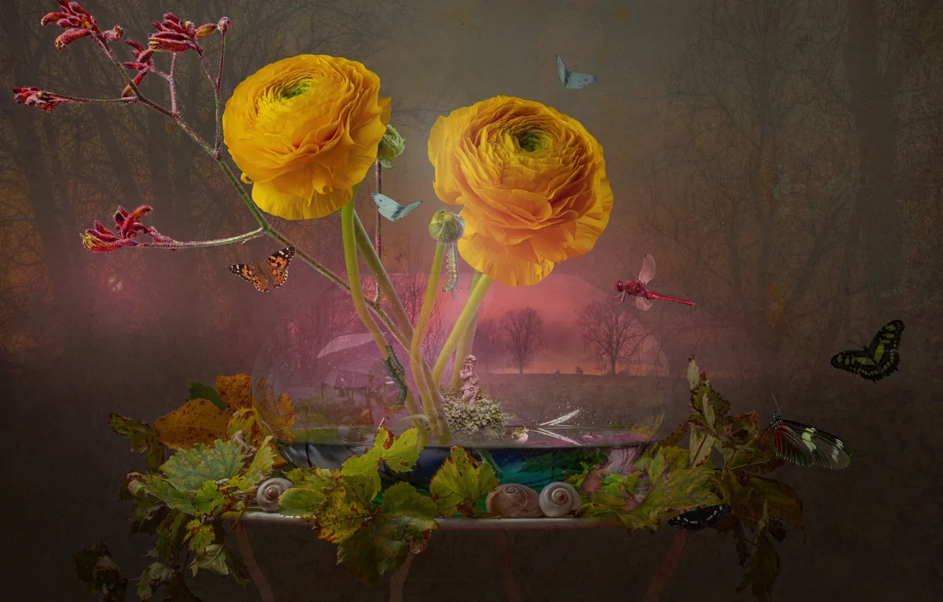 Photo wallpaper leaves, flowers, bouquet, shell, still life, Ranunculus