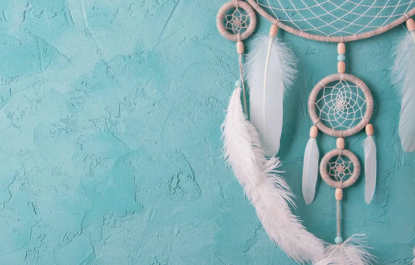 Photo wallpaper wall, feathers, catches dreams