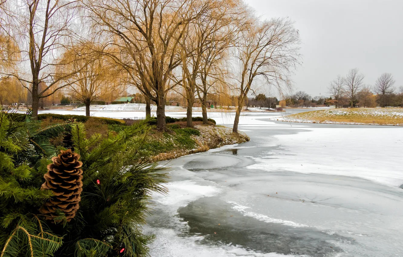 Photo wallpaper winter, trees, ice