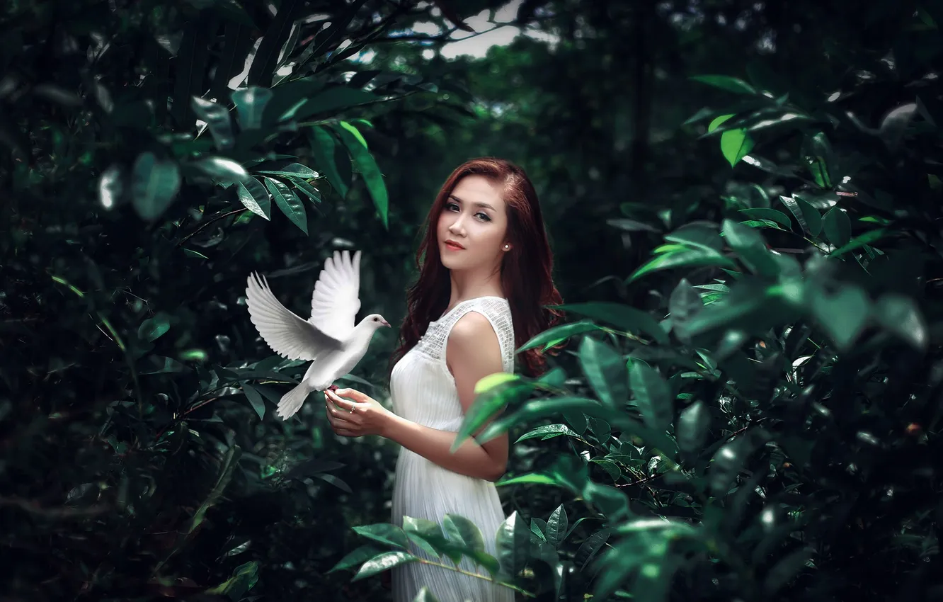 Photo wallpaper girl, background, bird
