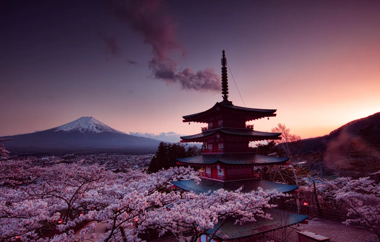 Photo wallpaper sakura, fujiyama, Churei Tower