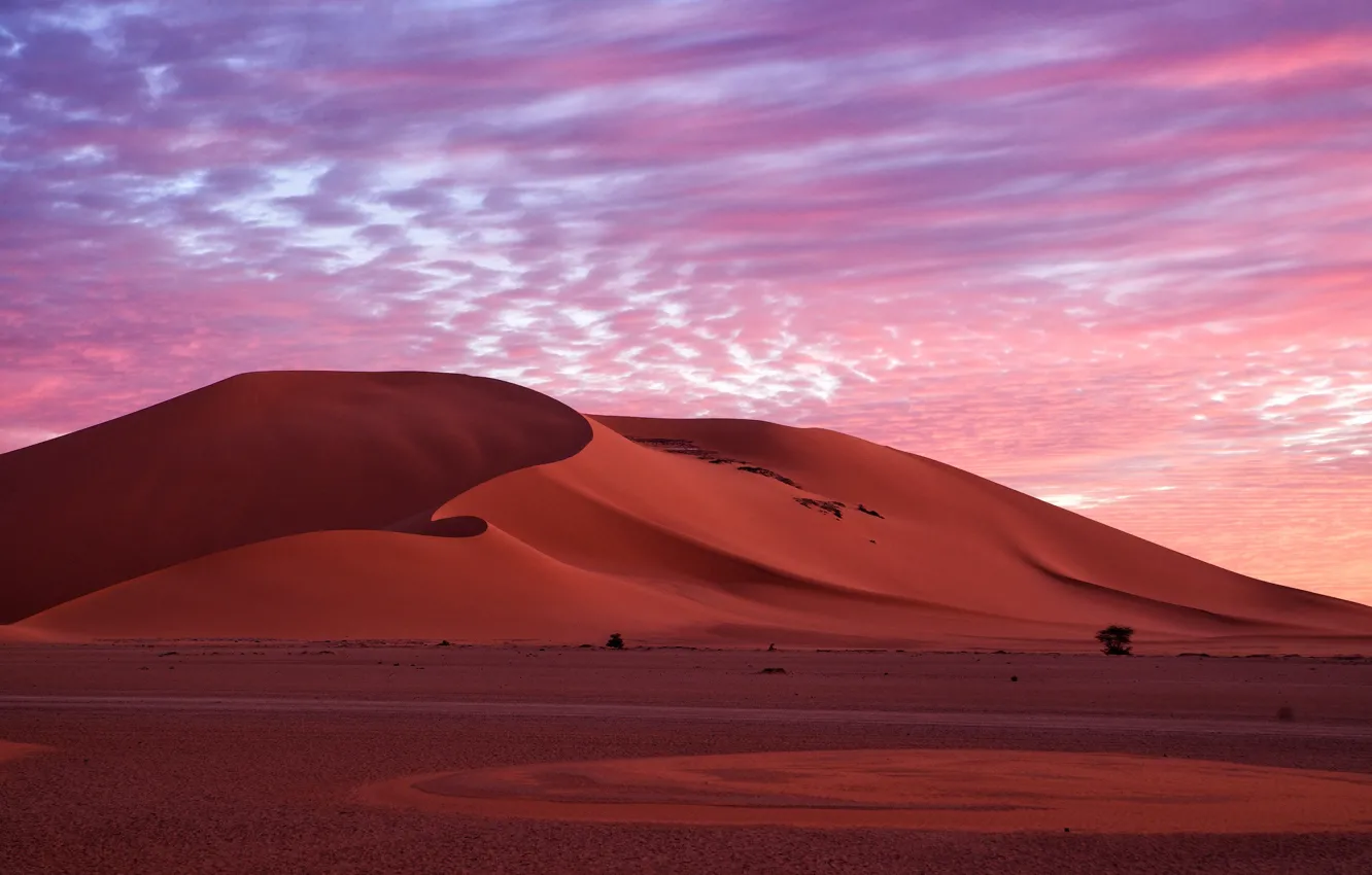 Photo wallpaper sand, the sky, clouds, nature, desert, the evening, morning, dunes
