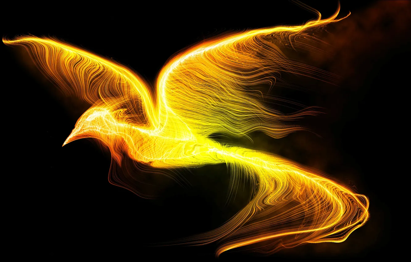 Photo wallpaper flight, lights, fiction, bird, wings, black background, Phoenix