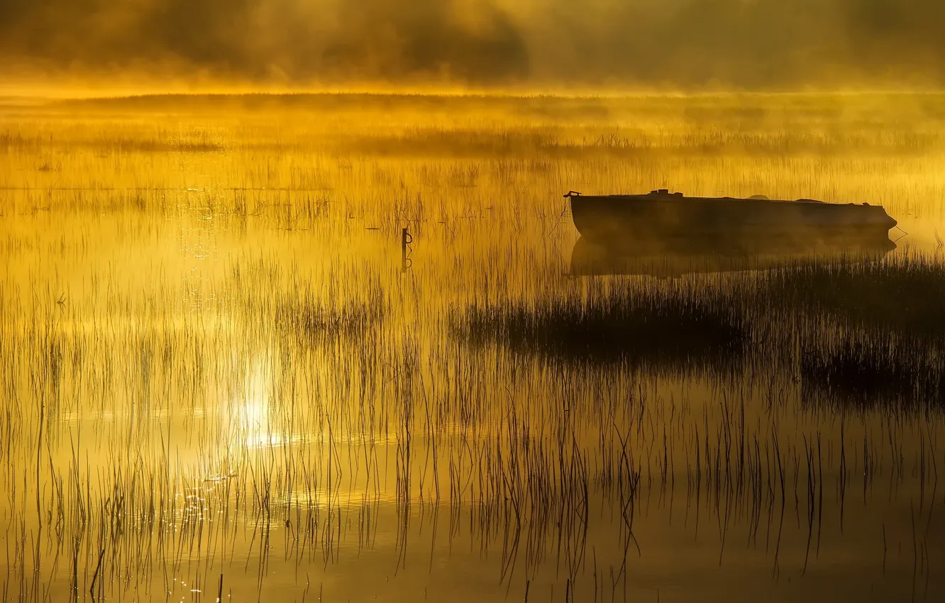Photo wallpaper landscape, sunset, fog, lake
