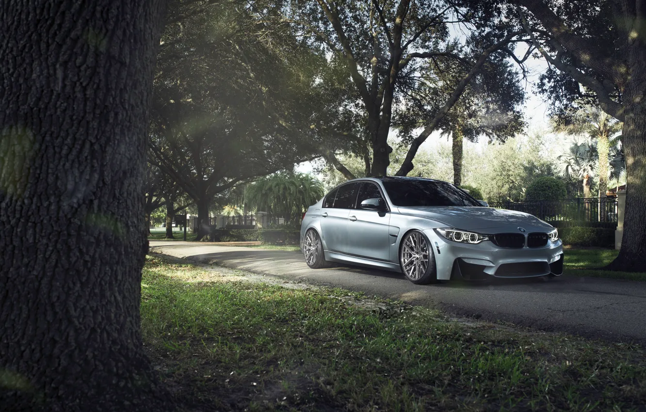 Photo wallpaper BMW, German, Car, Sport, Silver, 2015, F80, M3