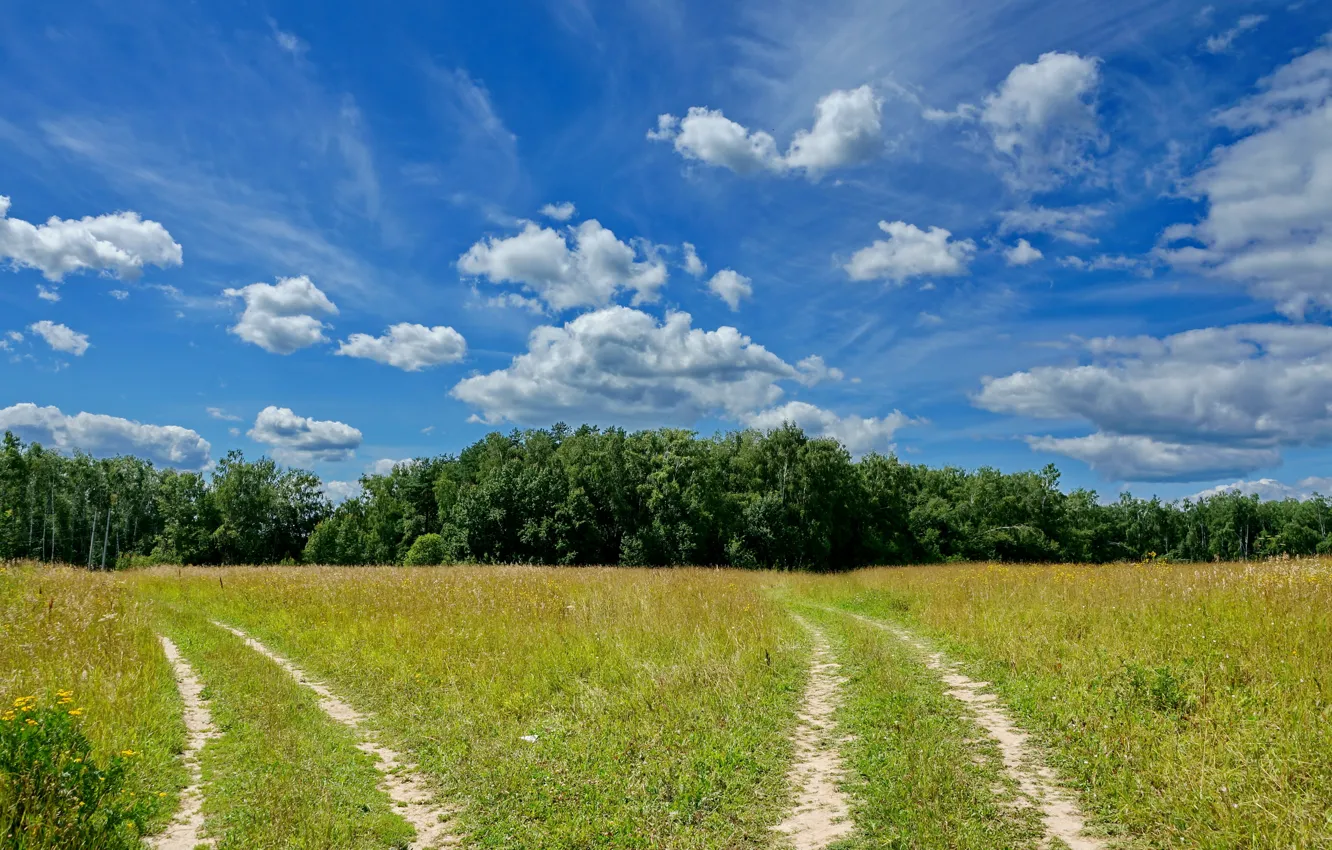 Photo wallpaper road, summer, clouds, landscape, nature