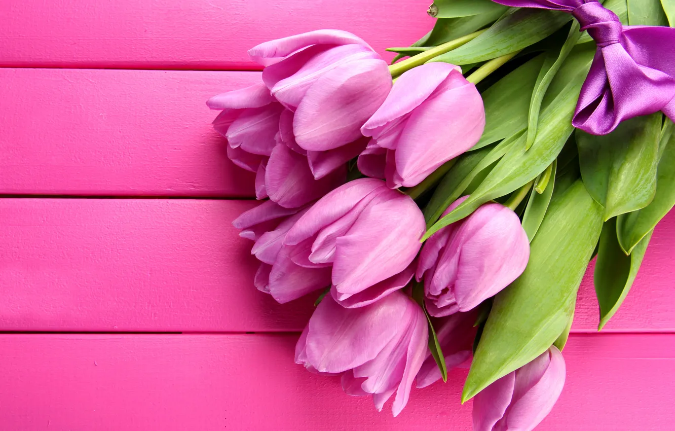 Photo wallpaper tulips, pink, fresh, pink, flowers, beautiful, tulips, bow