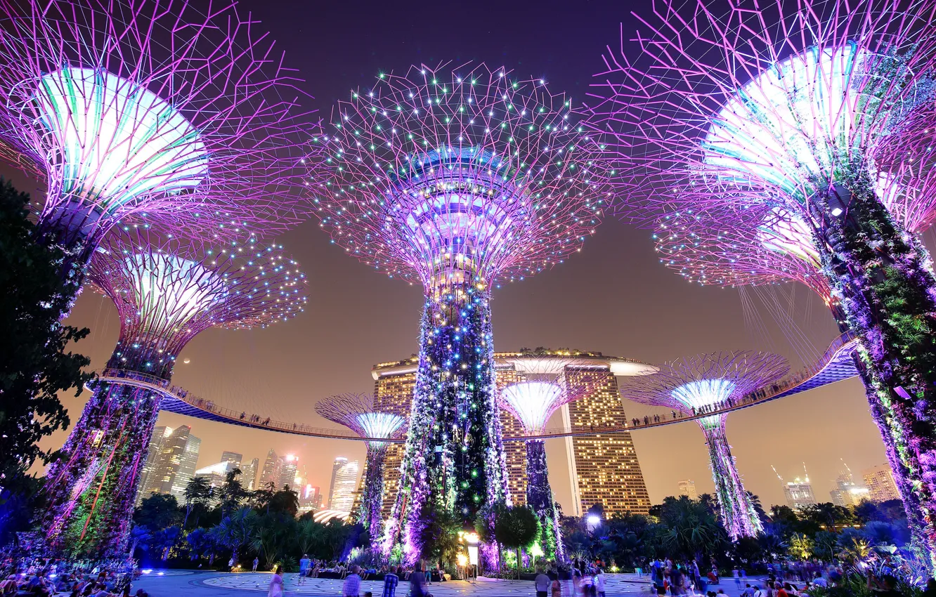 Photo wallpaper night, lights, Singapore, megapolis, Singapore, Marina Bay Sands, Gardens by the Bay, Parks