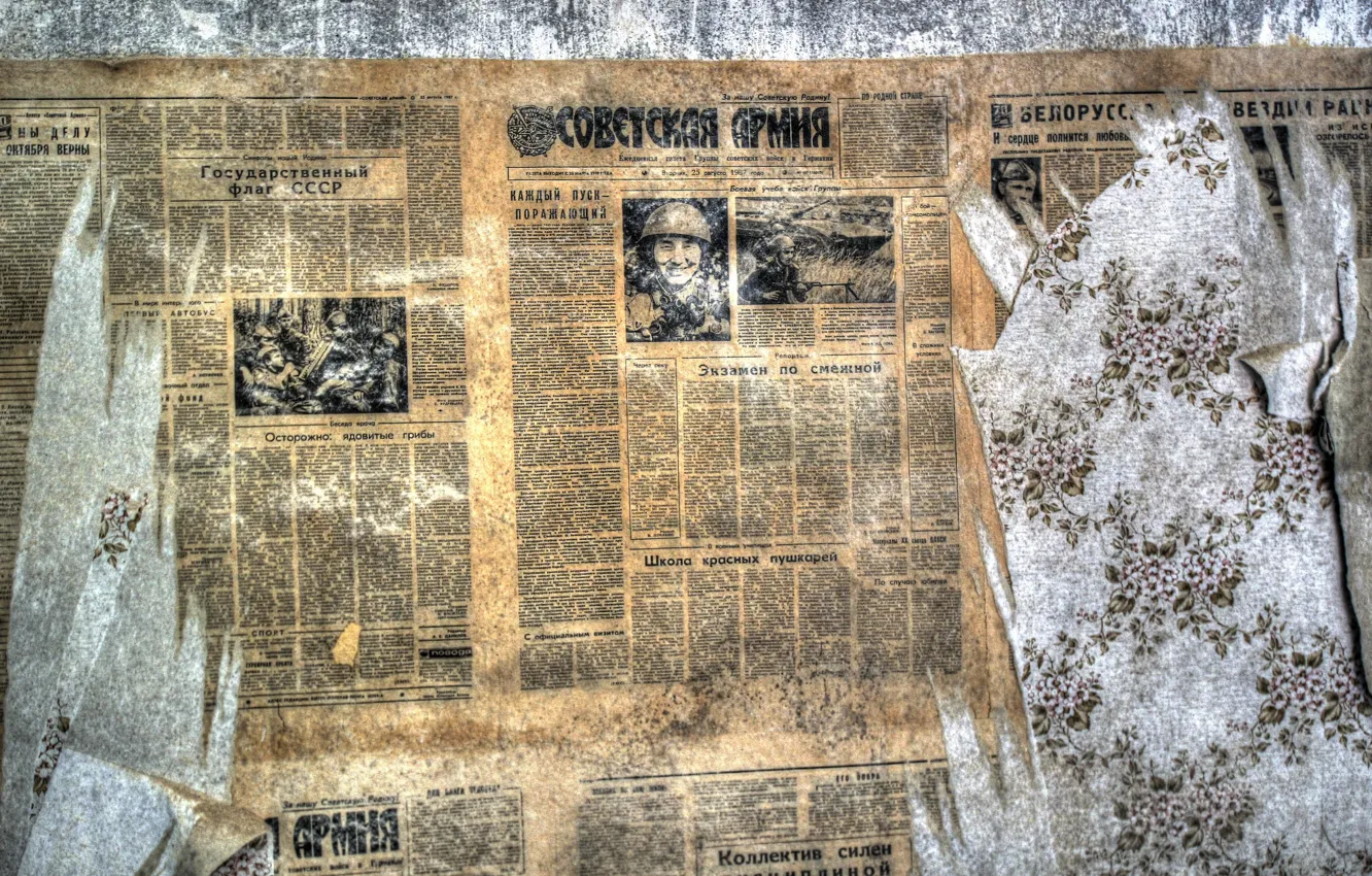 Photo wallpaper background, wall, newspaper