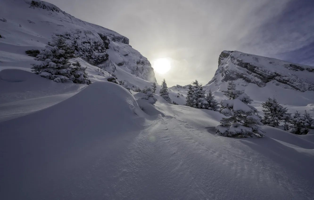 Photo wallpaper winter, snow, mountains, Switzerland, ate, Alps, the snow