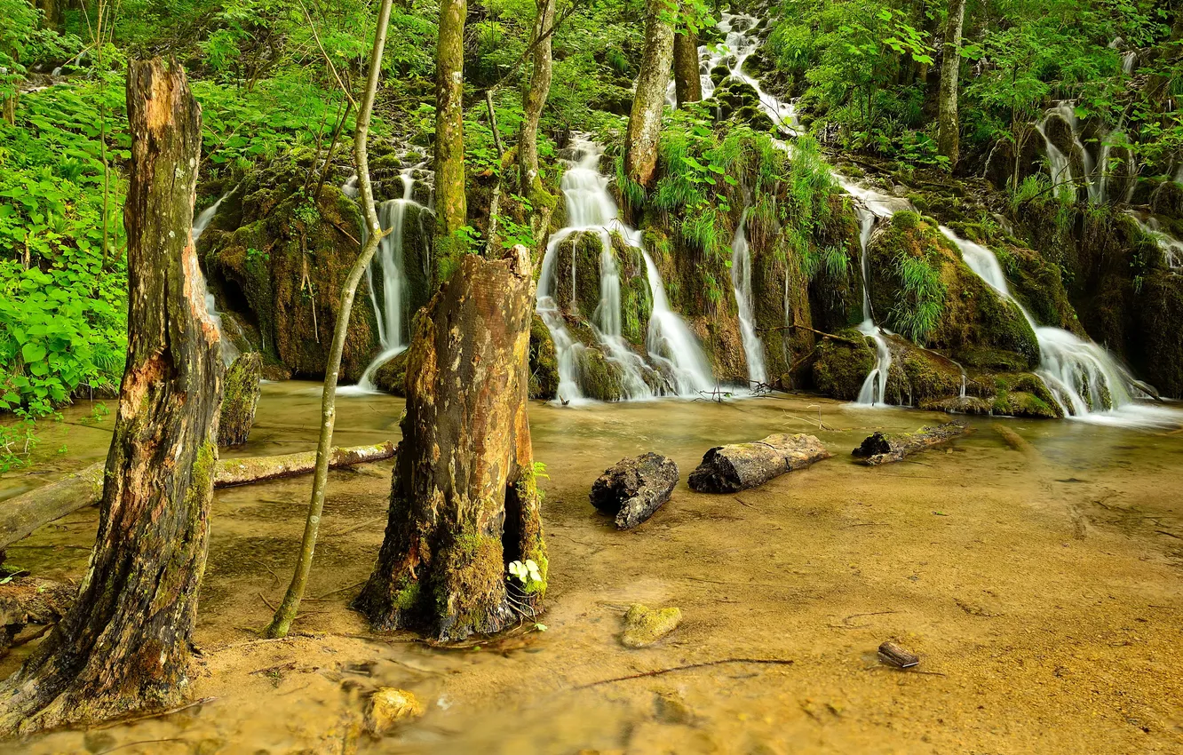 Photo wallpaper greens, forest, trees, lake, waterfall, moss, Croatia, Plitvice Lakes
