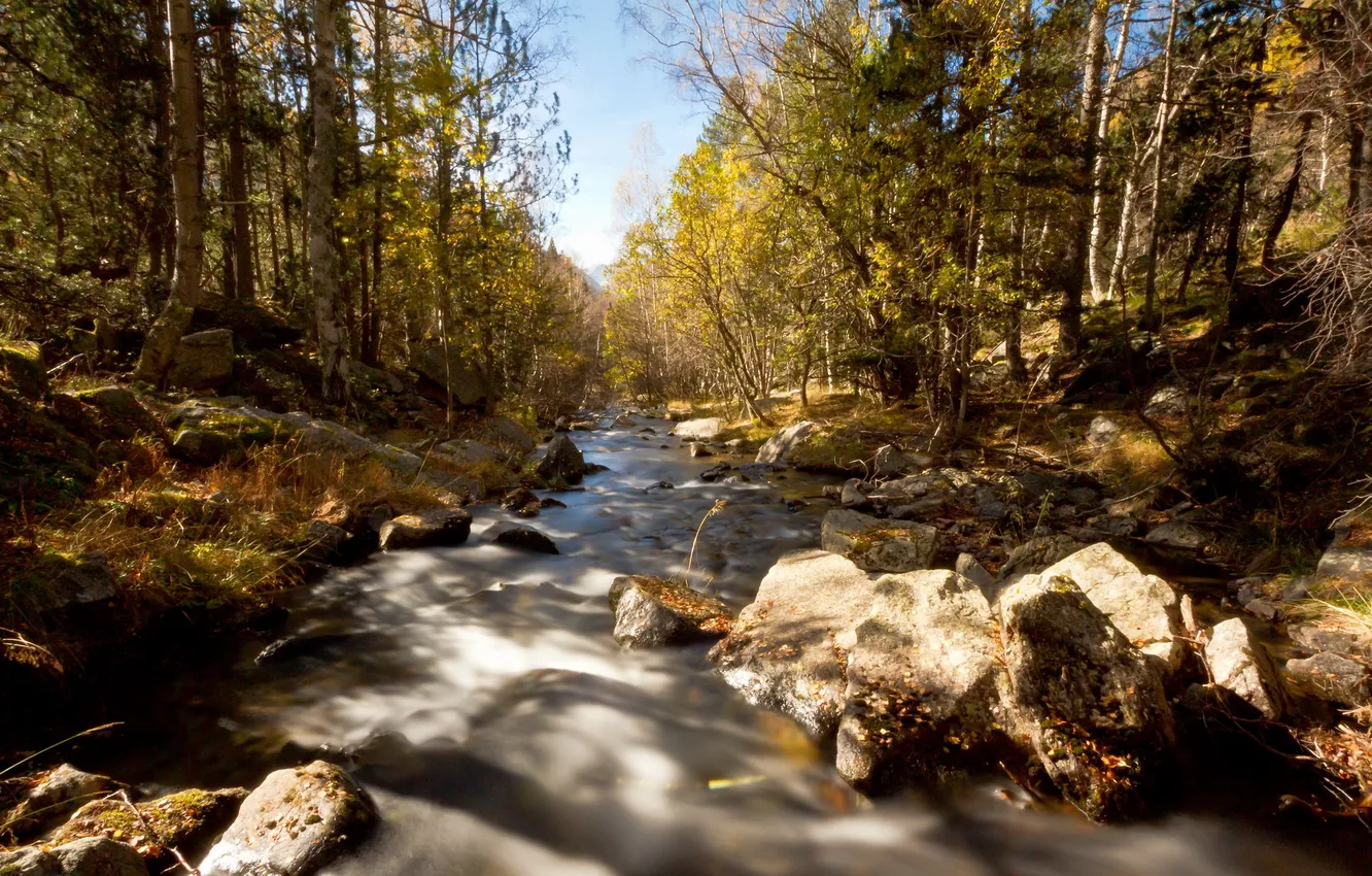 Photo wallpaper autumn, landscape, nature, river