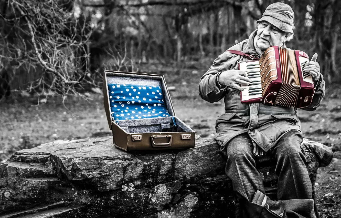 Photo wallpaper music, people, accordion