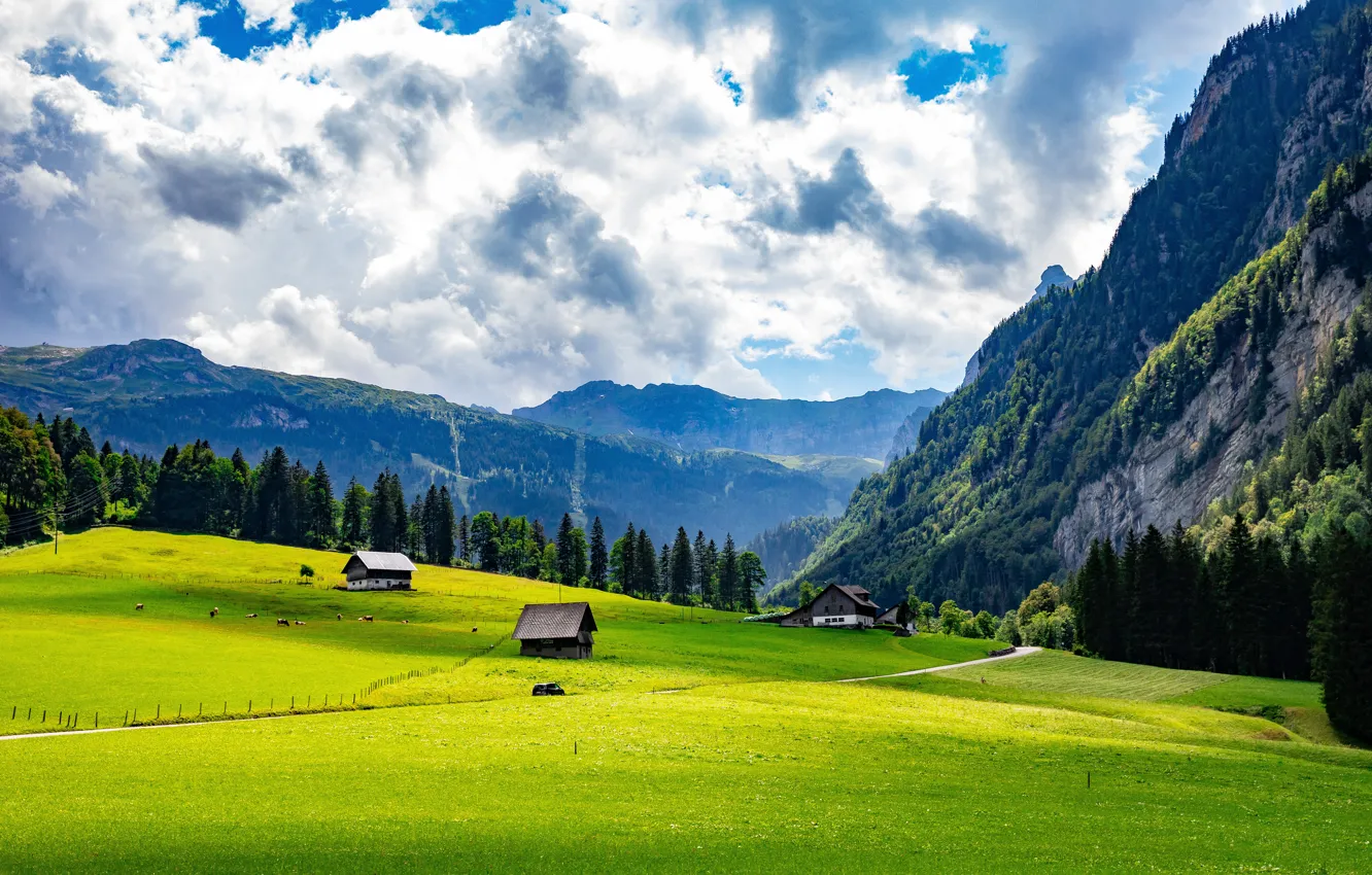 Photo wallpaper field, mountains, Alps, house