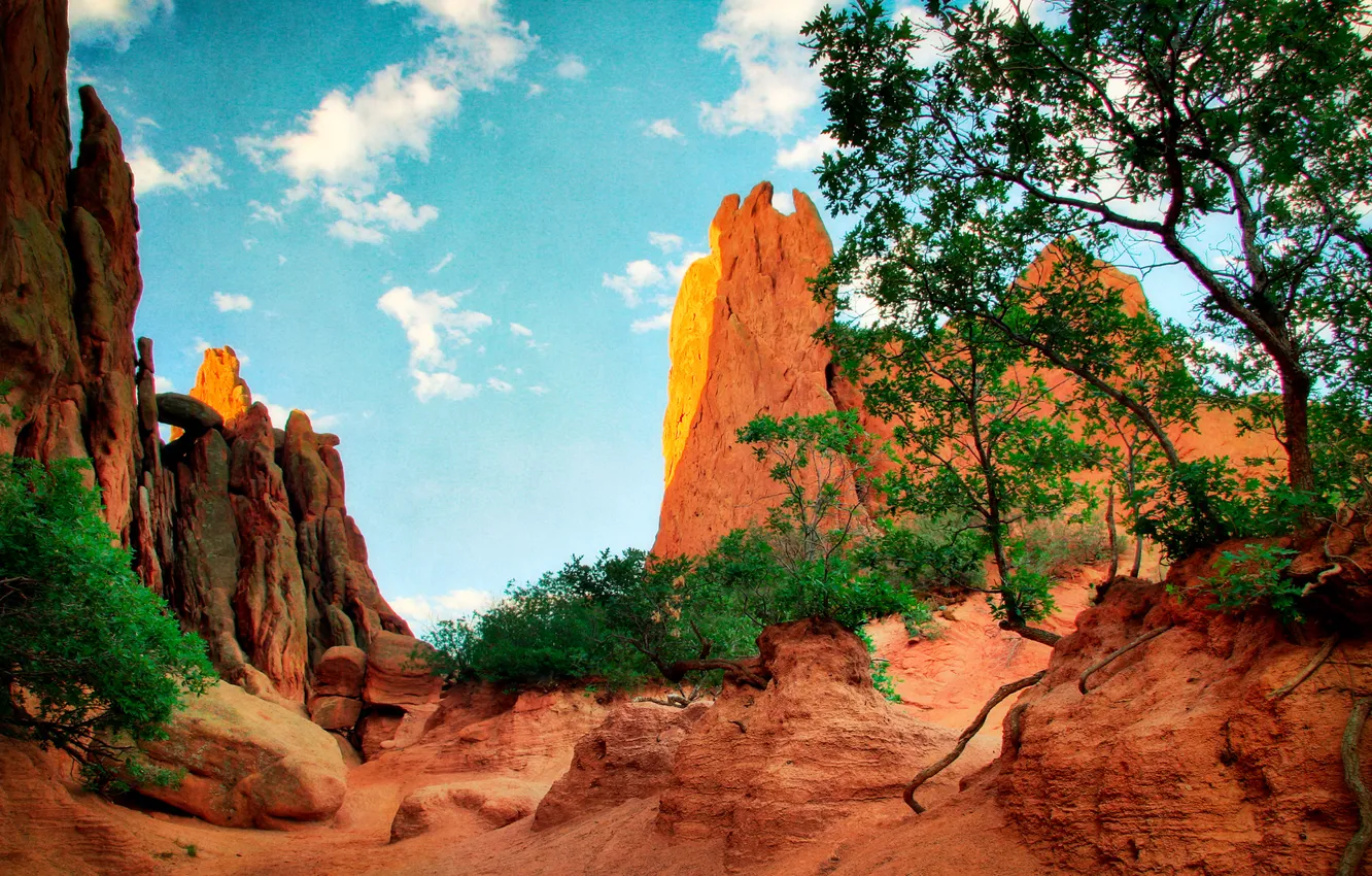 Photo wallpaper the sky, leaves, clouds, trees, landscape, mountains, rocks