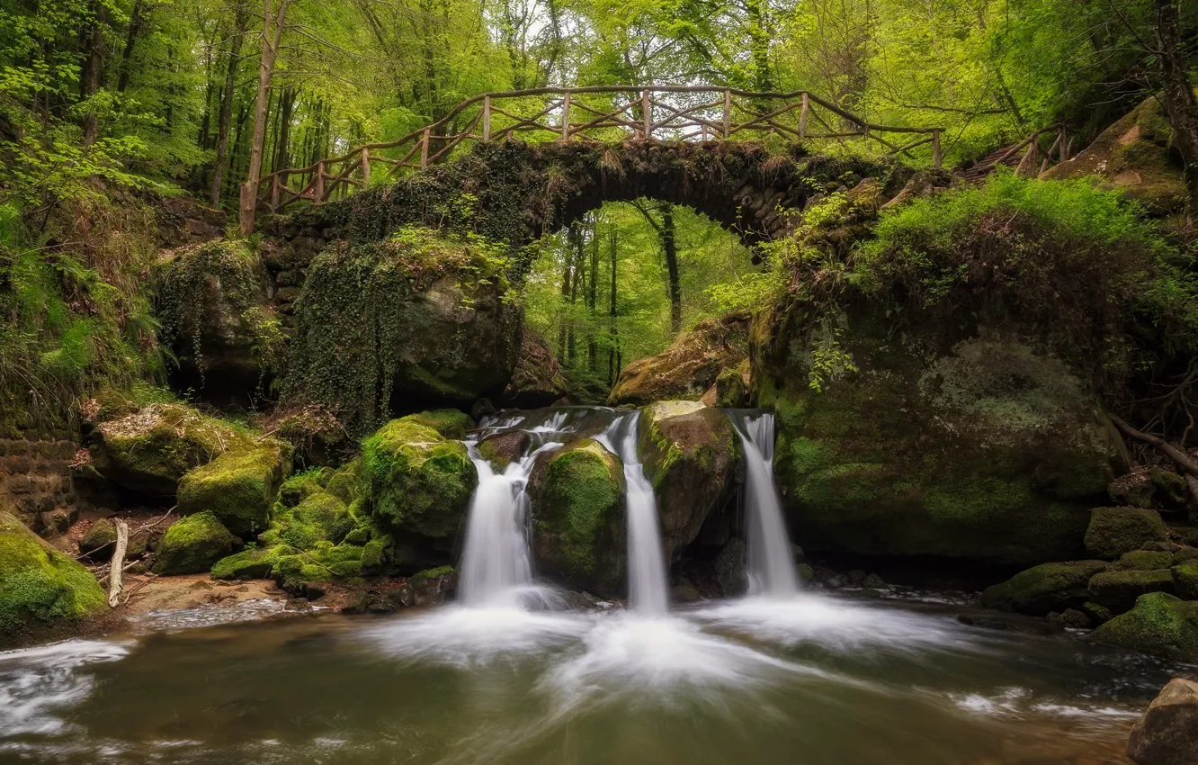 Photo wallpaper greens, forest, bridge, stones, rocks, shore, waterfall, moss