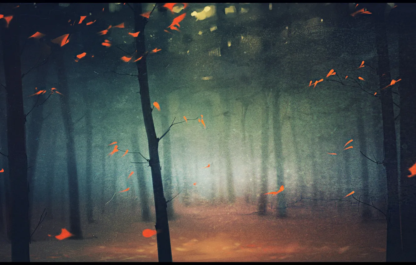 Photo wallpaper autumn, forest, leaves, trees