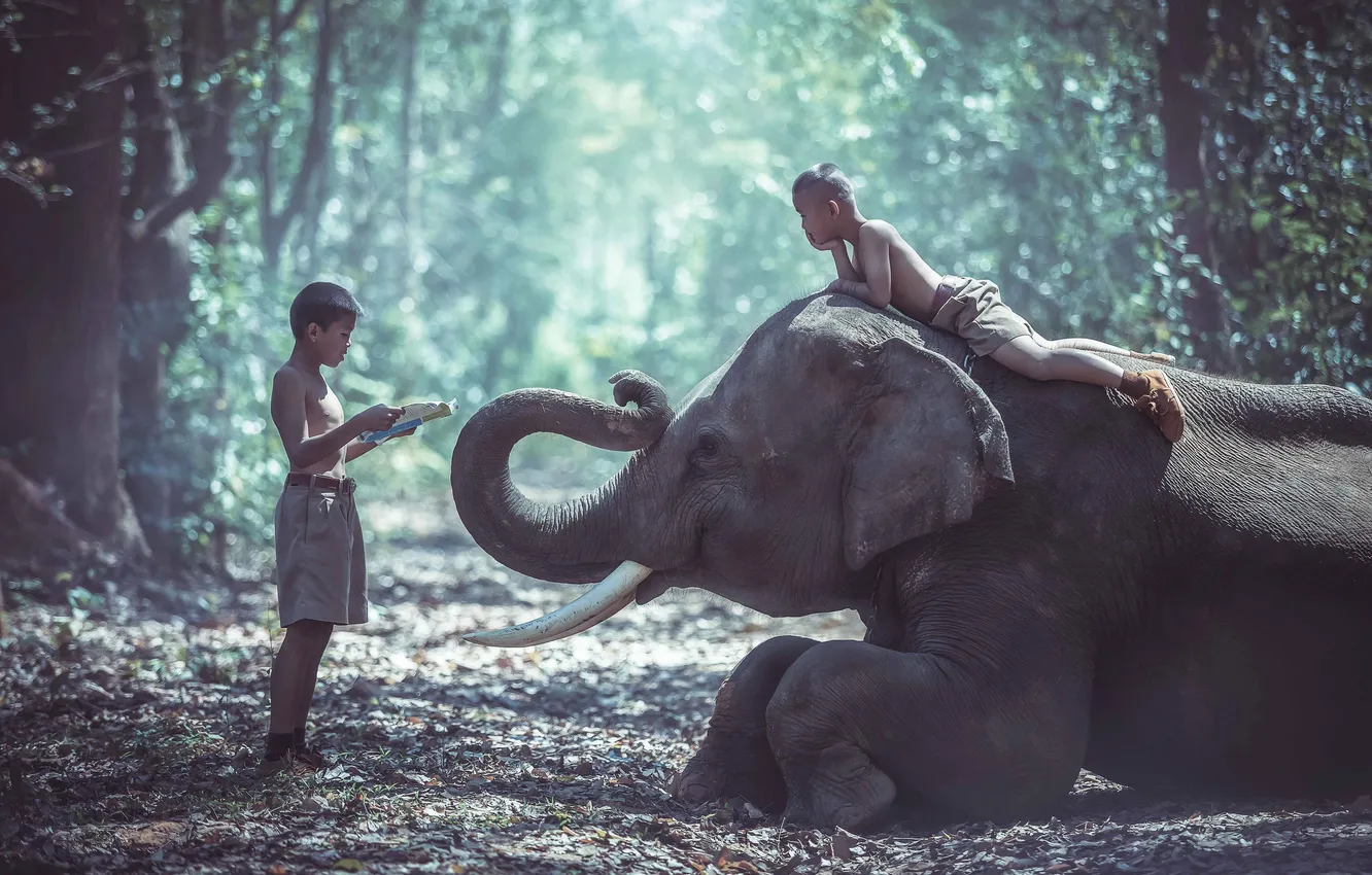 Photo wallpaper Thailand, nature, people, man
